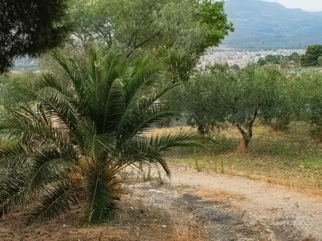 Casa di campagna - Vista 2