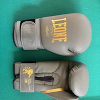 guantoni da boxe + fasce leone