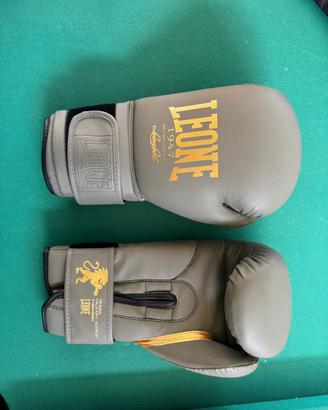 guantoni da boxe + fasce leone