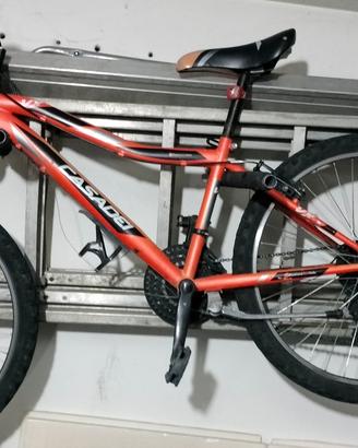  MTB ragazzo marca CASADEI 
