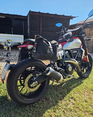 Ducati scrambler 800
