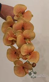 18 orchidee con foglie