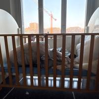 New Born 0-7month Essentials