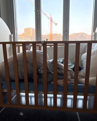 New Born 0-7month Essentials