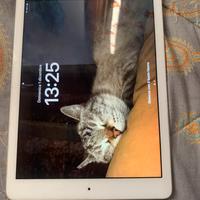 Ipad  Apple