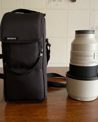 Sony 100-400 GM f 4.5-5.6