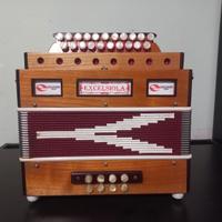 Organetto a 8 Bassi e 21 Tasti Tonalità Sol - Do