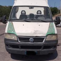 RICAMBI USATI AUTO FIAT Ducato 4a Serie F1AE0481C
