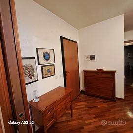 Ampio bilocale arredato Treviglio