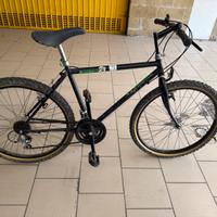 Bicicletta MTB