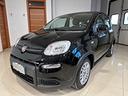 fiat-panda-1-0-firefly-s-s-hybrid