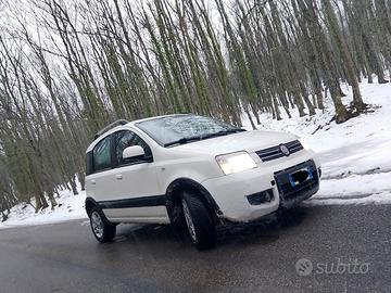 Panda climbing 