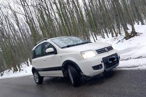 Panda climbing 