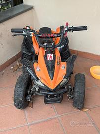 Mini quad