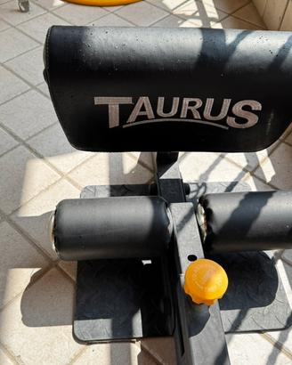 Sissy Squat - Taurus