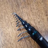Canna da pesca bolognese DAIWA mt 7
