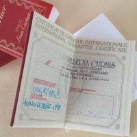 Penna stilografica Cartier