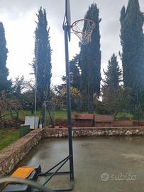 Cesto Basket