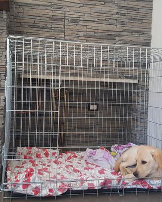 Kennel Cane Taglia Grande
