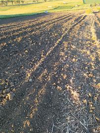 Terreno agricolo sulla via castelvetrano