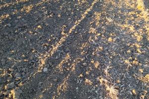 Terreno agricolo sulla via castelvetrano