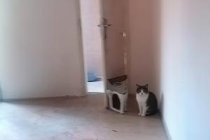 appartamento 2 piani casa+garage 45 mq.Trattabile
