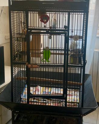 Gabbia per Pappagalli