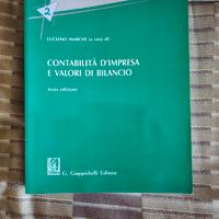 Contabilità d'impresa e Valori di Bilancio