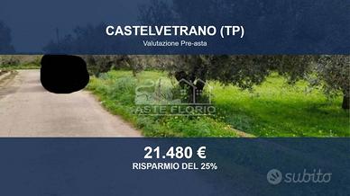 Immobile in asta di 6740 m² a Castelvetrano