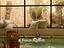 Immagine 19