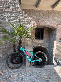Bianchi methanol 29 sx