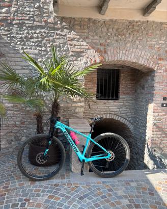 Bianchi methanol 29 sx