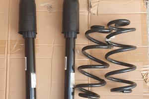 Ammortizzatori posteriori e molle Audi A4 B9, A5 