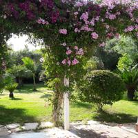 Casa Vacanze "Sweet Home" - Giba