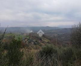 CASA INDIPENDENTE A OLEVANO ROMANO