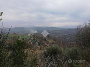 CASA INDIPENDENTE A OLEVANO ROMANO