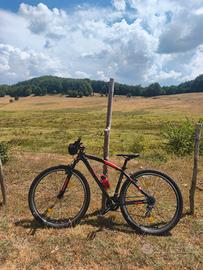 Torpado T745 Delta 29 MTB – Shimano Altus 21V
