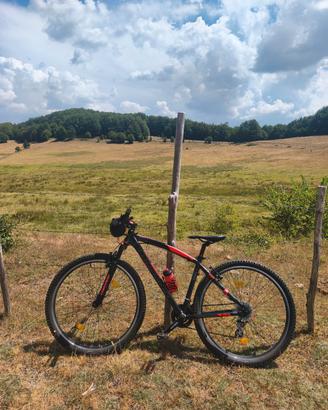 Torpado T745 Delta 29 MTB – Shimano Altus 21V