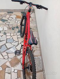 Mountain bike 