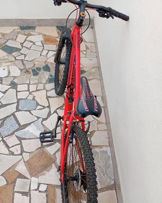 Mountain bike 