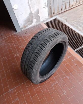 Gomma auto