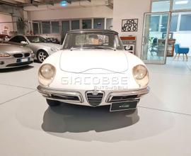 Alfa Romeo Duetto Spider Osso di Seppia 1600 1967