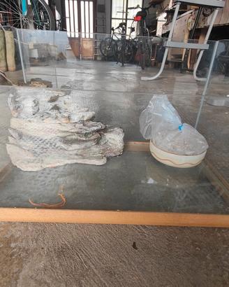acquario per tartarughe acqua 