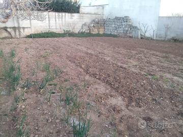 Terreno edificabile