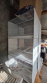 Gabbia da cova bianca da 58cm come nuova