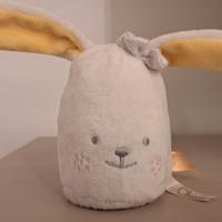 Lucina notturna coniglietto  marca chicco