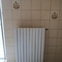termosifone ghisa 10 elementi 
