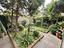 Immagine 14