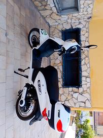 Motorino elettrico 
