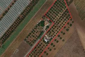 Terreno agricolo